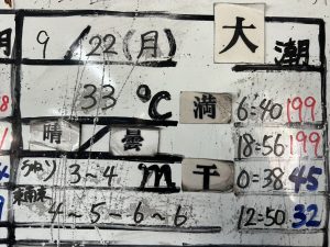 S__35037203_0