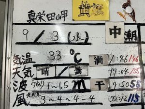 S__95543306_0