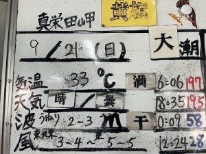 S__96673808_0