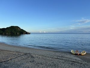 S__96845826_0