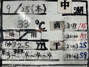 S__96845828_0