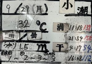 S__97001485_0