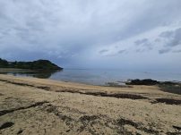 本日の海峡画像