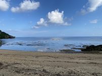 本日の海峡画像
