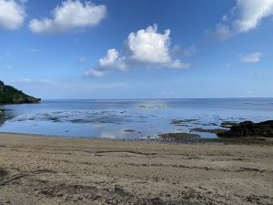 S__10485777_0