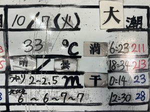 S__35184643_0