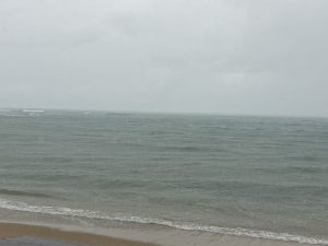 S__35291147_0
