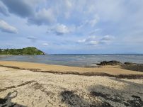 本日の海峡画像