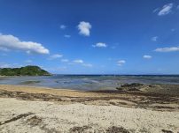 本日の海峡画像