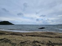 本日の海峡画像