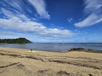 本日の海峡画像