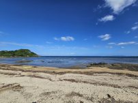本日の海峡画像