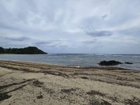 本日の海峡画像