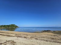 本日の海峡画像