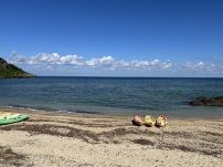 本日の海峡画像