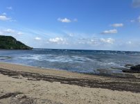 本日の海峡画像