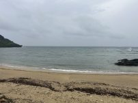 本日の海峡画像