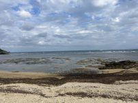 本日の海峡画像