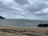 本日の海峡画像