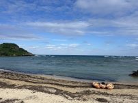 本日の海峡画像