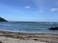 本日の海峡画像