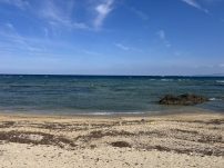 本日の海峡画像