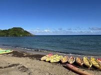 本日の海峡画像