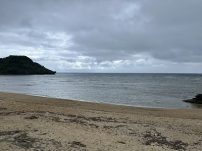 本日の海峡画像