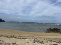 本日の海峡画像