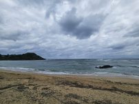 本日の海峡画像