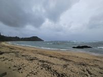 本日の海峡画像