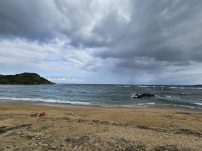 本日の海峡画像