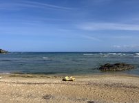 本日の海峡画像