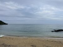 本日の海峡画像